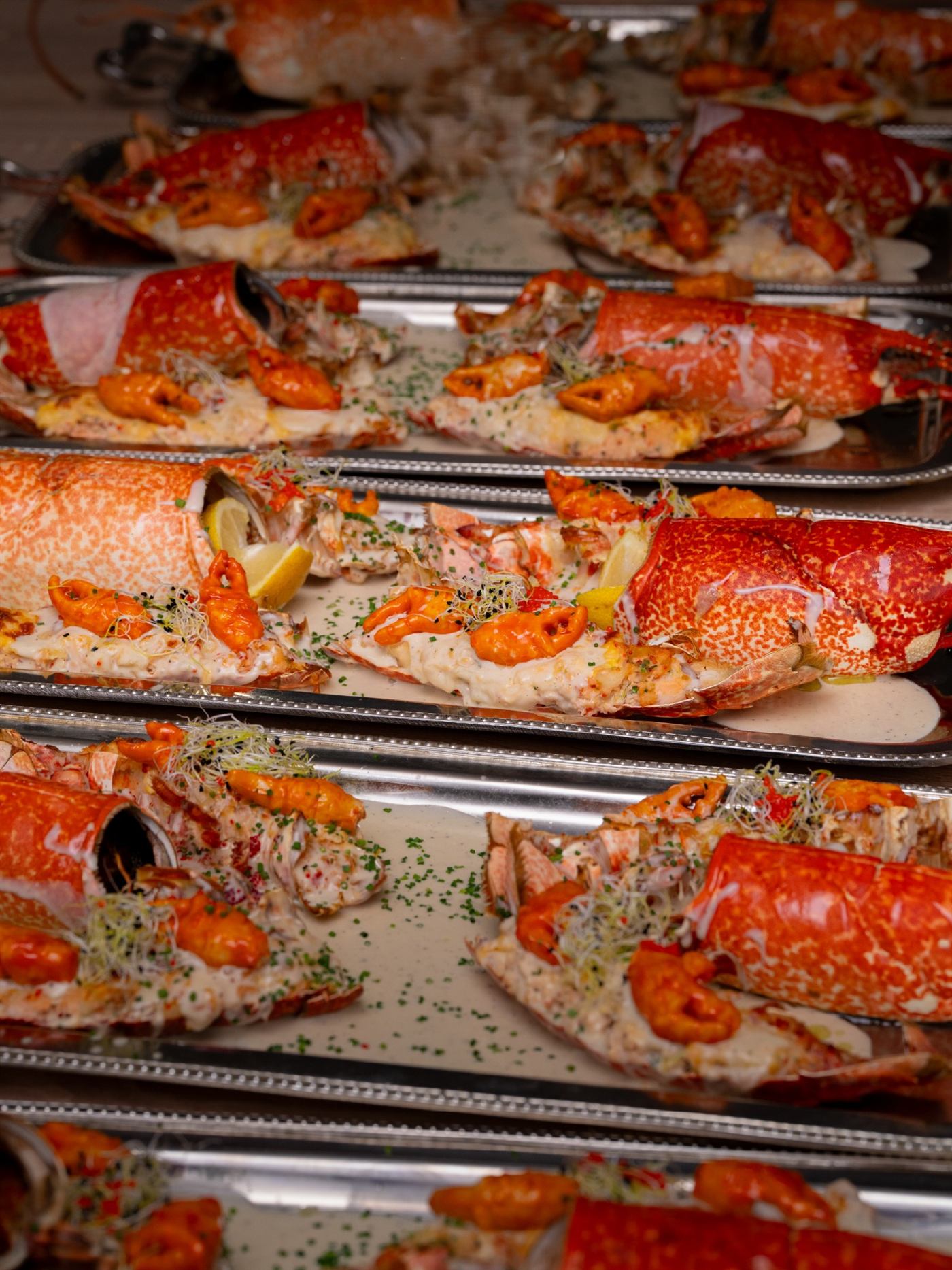 Lobster platters for a gala dinner